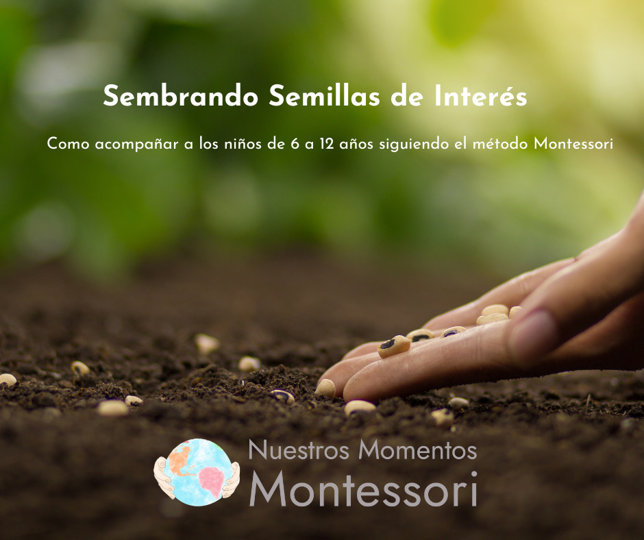 sembrando semillas de interes FB 1
