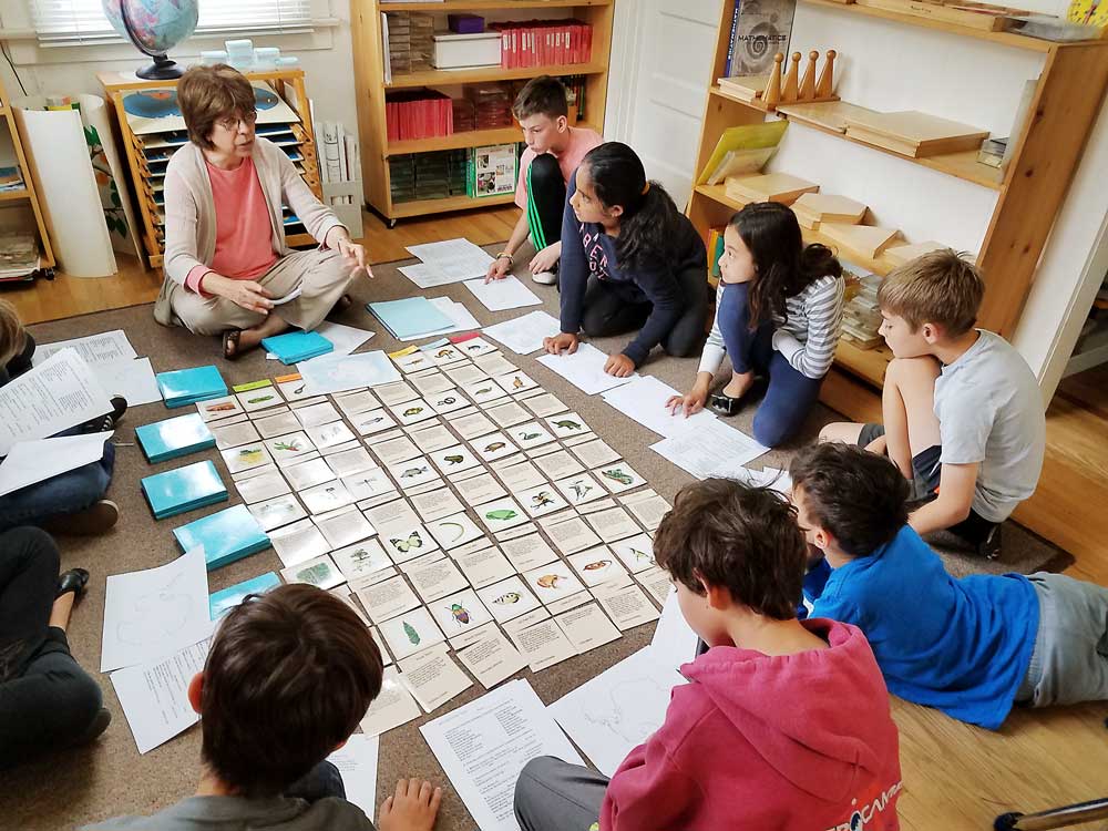 upper elementary science