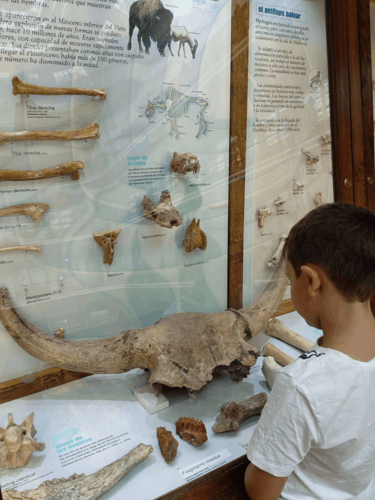 92fe0847825026e6bbc41eddee7a96e8eba9151d (Mediana)